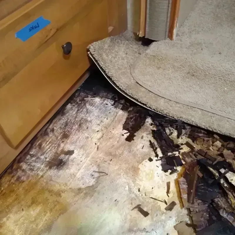 Wood Floor Water Damage in Ocean Springs, MS